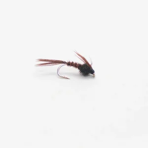 WWFW - Flashback Pheasant's Tail Nymph