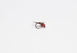 WWFW - Pheasant Tail Nymph (orange bead head)