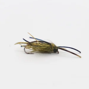 WWFW -  Nemec Stonefly Nymph / Olive