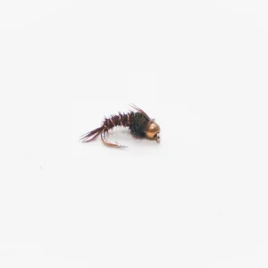 WWFW - Pheasant Tail Nymph (curved hook- tungsten bead)