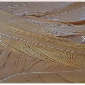 STRUNG ROOSTER SADDLES LONG, NAT BROWN