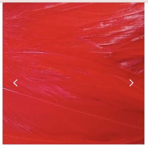 STRUNG ROOSTER SADDLES LONG, RED/NAT