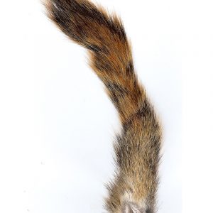 Pine Squirrel Tails