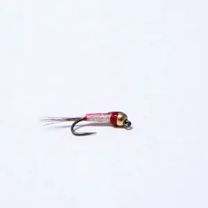 WWFW - Euro Nymph / White - Jig (gold tungsten bead)
