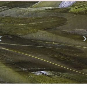 Wapsi Strung Rooster Saddle Hackles (Long)